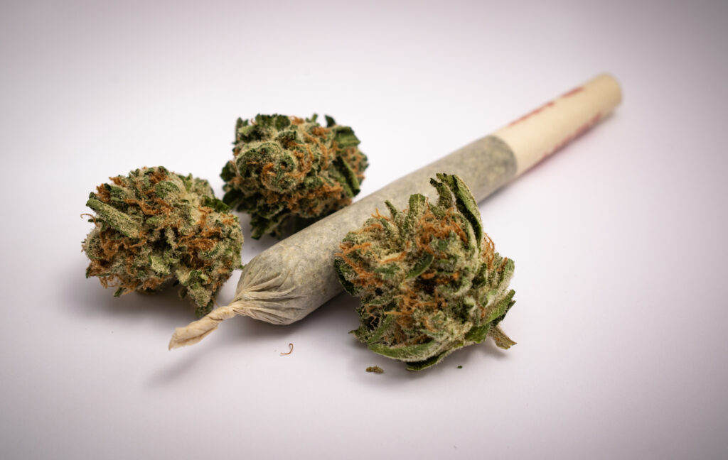 marijuana buds and joint